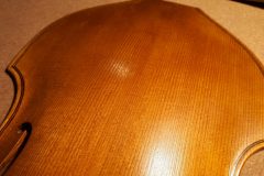 20201026_195259-scaled