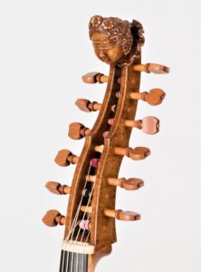 viole d'amour 12 cordes modèle Salomon